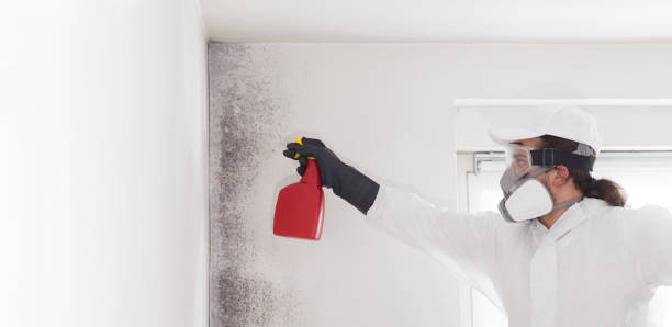 Home Mold Removal in Watertown, SD